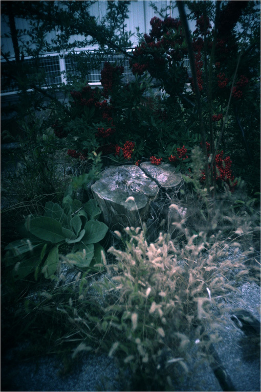 c0168172_22284981.jpg