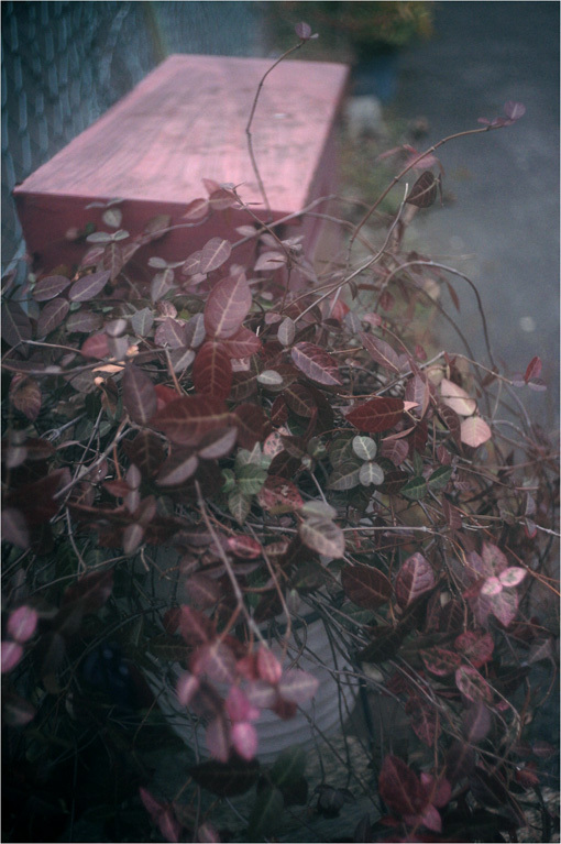 c0168172_22332237.jpg