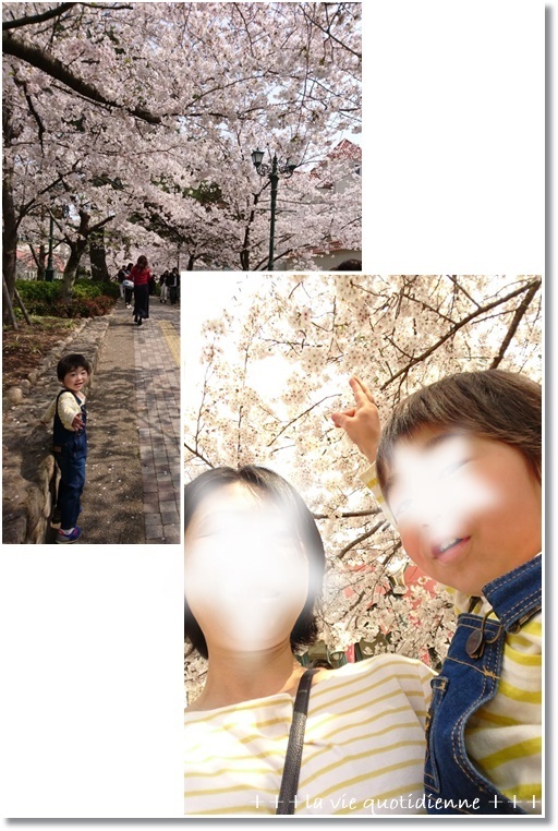 消防車に乗せてもらった王子と桜ソフトクリームを桜並木で…♪_a0348473_20334779.jpg
