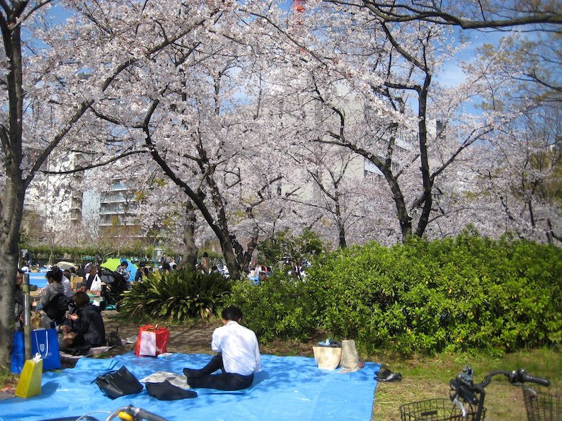 b0057679_09241142.jpg