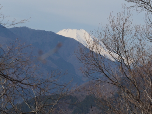 再訪：神奈川のギフチョウ_f0348480_16315717.jpg