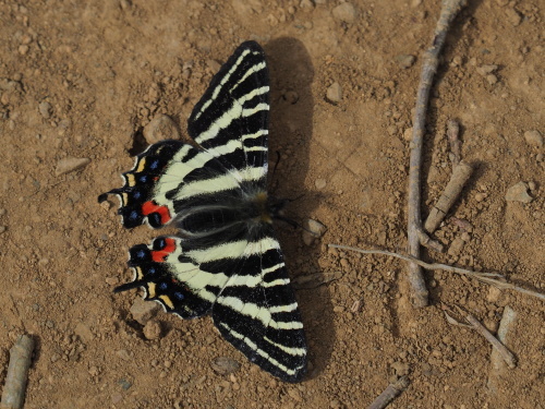 f0348480_16362179.jpg