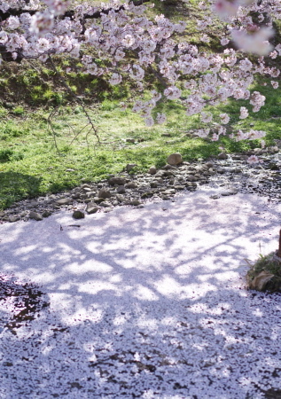 a0198883_22220240.jpg