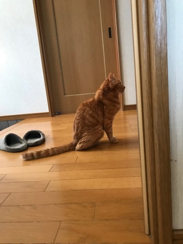a0216583_23370622.jpeg