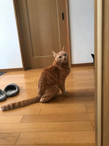 a0216583_23370990.jpeg
