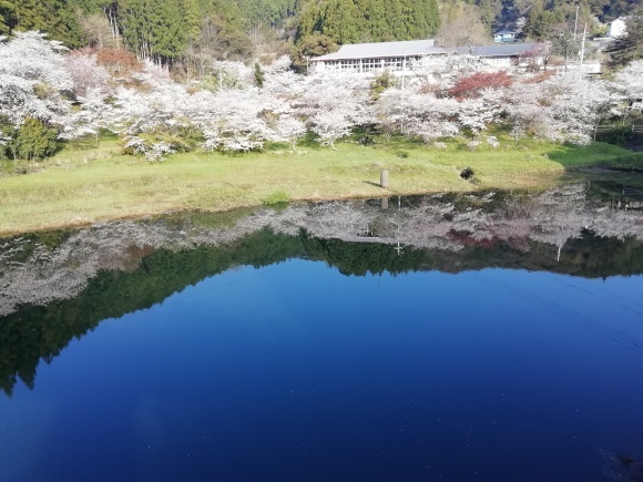 土佐山田平山　風の窯　12日目_c0212083_20015619.jpg