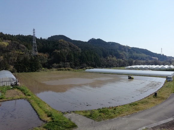 土佐山田平山　風の窯　12日目_c0212083_20072637.jpg