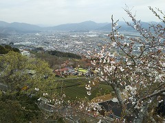 f0017185_09021878.jpg