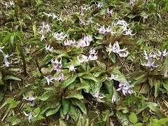 f0017185_09061527.jpg