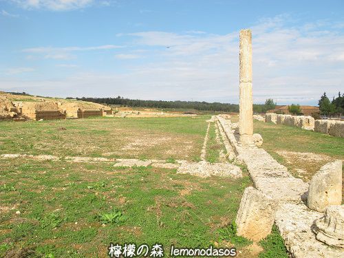 c0010496_22510469.jpg