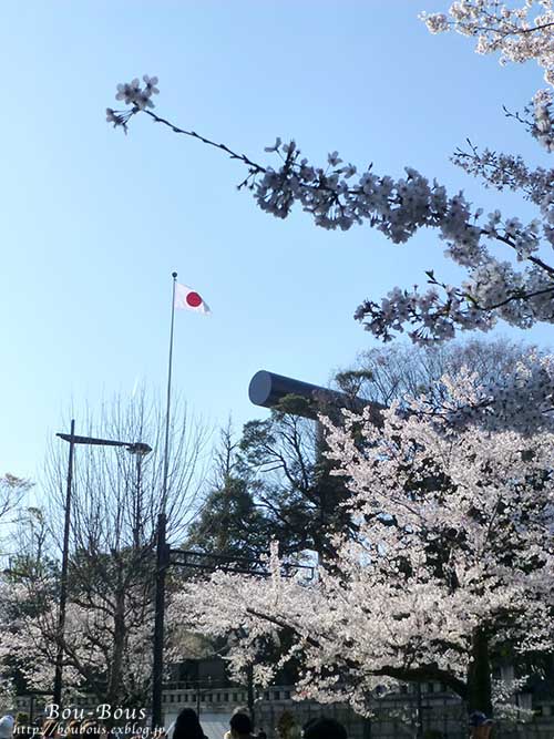 千鳥ヶ淵の桜〜その1_d0128697_3543298.jpg