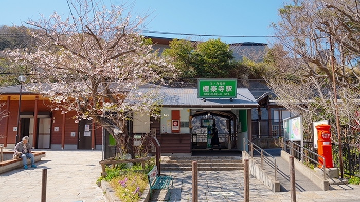 桜と江ノ電_b0145398_17563769.jpg
