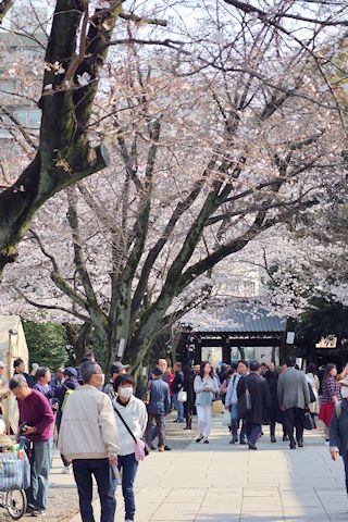 千鳥ヶ淵にお花見にその他色々♪_c0090198_19322459.jpg