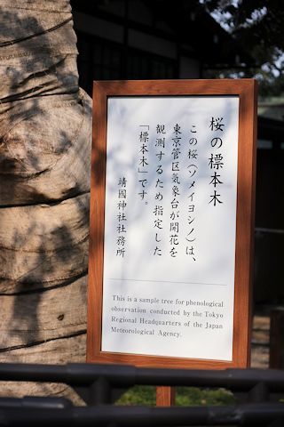 千鳥ヶ淵にお花見にその他色々♪_c0090198_19341933.jpg