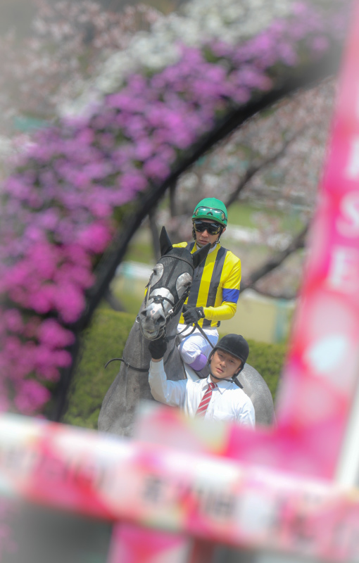 2019年4月6日　阪神牝馬S（GⅡ）_f0204898_17404013.jpg