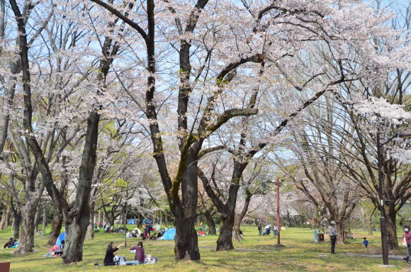 a0288500_16294870.jpg