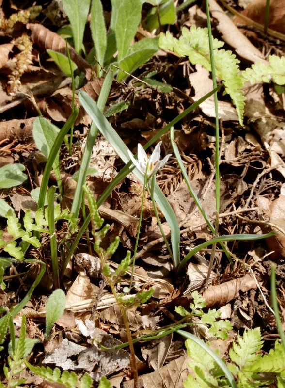 e0025300_20303411.jpg