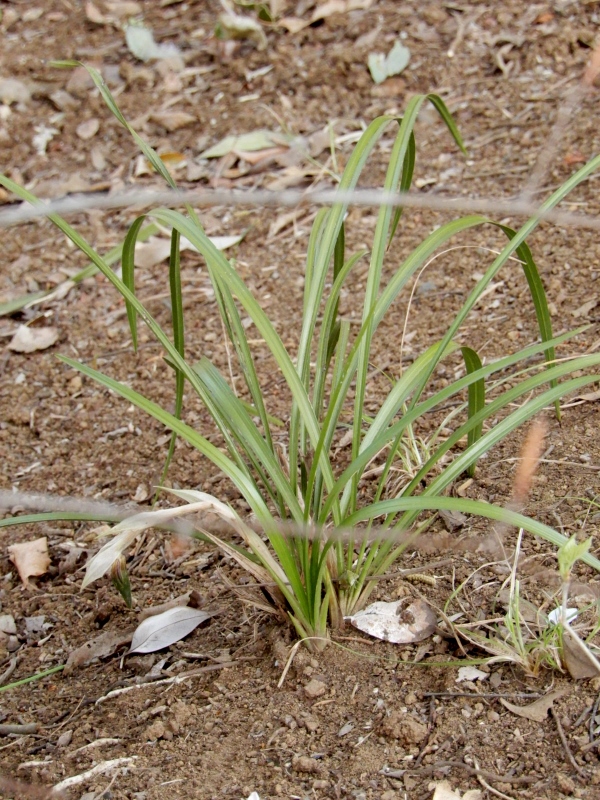 e0025300_204273.jpg