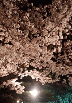 a0223701_07442480.jpg