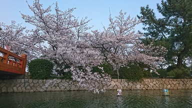 a0223701_07452358.jpg