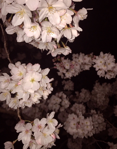 c0039501_08273191.jpeg