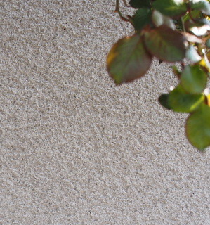 c0039501_08471164.jpg