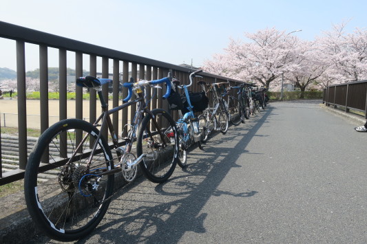 朝うどん＆桜サイクリング　リベンジ_c0132901_20003760.jpg
