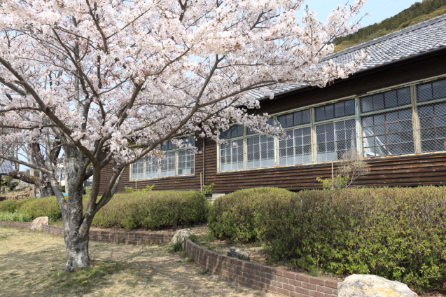 学び舎の桜_d0354901_22115153.jpg