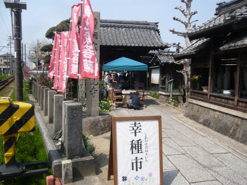 竹鼻の本覚寺での幸種市に自転車で行ってみた_c0024502_22403480.jpg