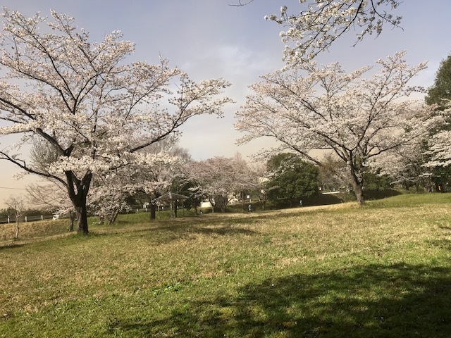 f0242002_16060510.jpg