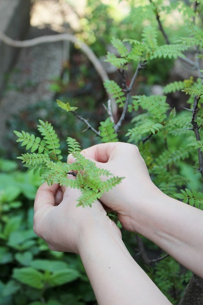 f0038904_20135707.jpg