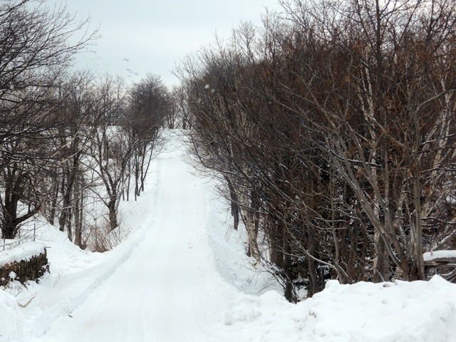 f0373905_11020271.jpg