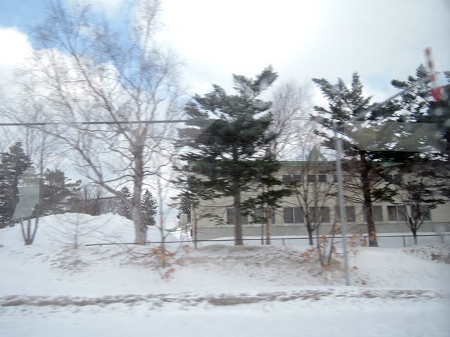 f0373905_11110504.jpg
