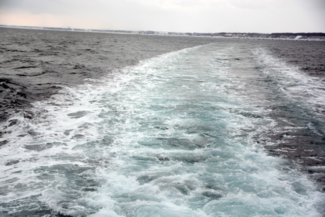 f0373905_16144574.jpg