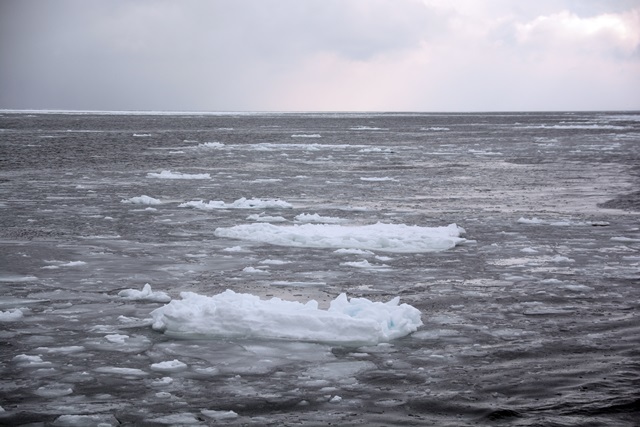f0373905_16153568.jpg