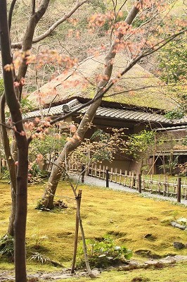 奥嵯峨・祇王寺_d0180506_16090015.jpg