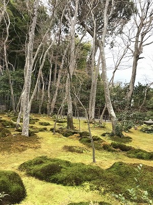 奥嵯峨・祇王寺_d0180506_16460536.jpg