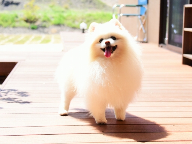 知らない人がいる!!_d0360206_00065699.jpg