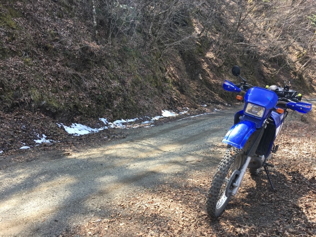 2019剣山スーパー林道_c0030607_17241640.jpg