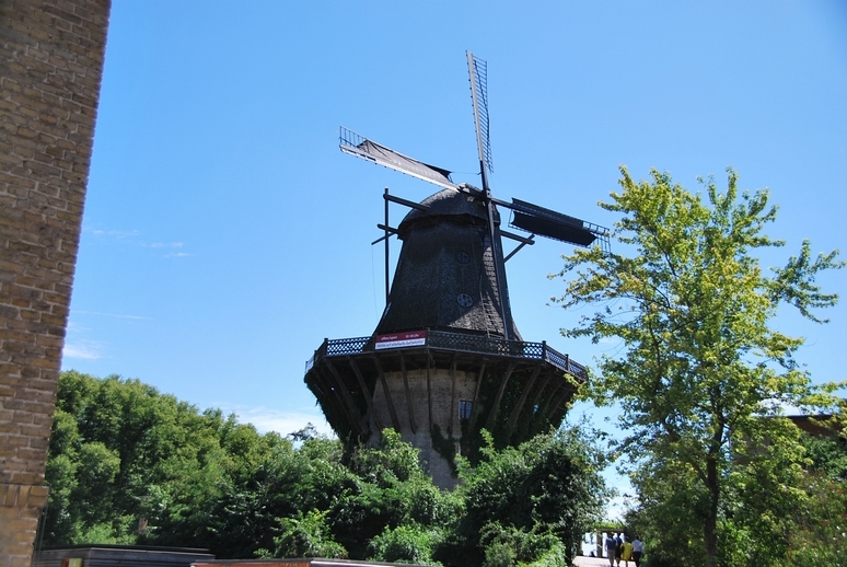 c0149408_11050721.jpg