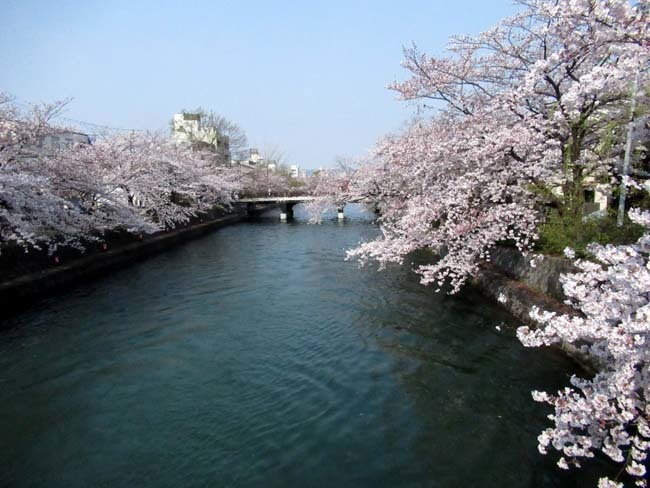 平安神宮大鳥居と疎水・インクラインあたり_e0048413_21354910.jpg