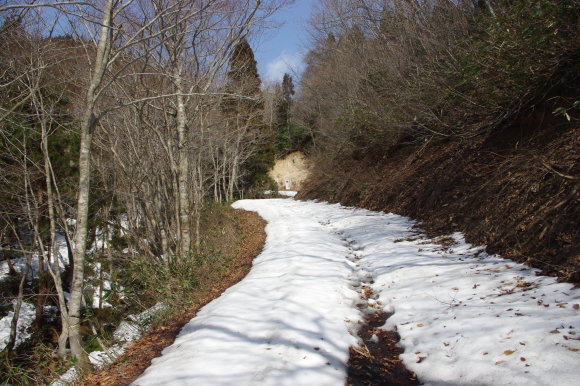 d0341514_10435431.jpg