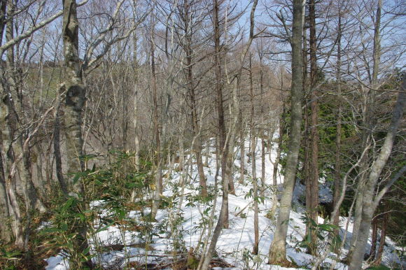 d0341514_10485922.jpg