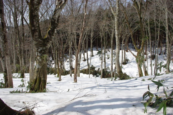 d0341514_10495665.jpg