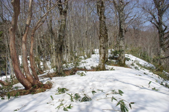 d0341514_10501127.jpg