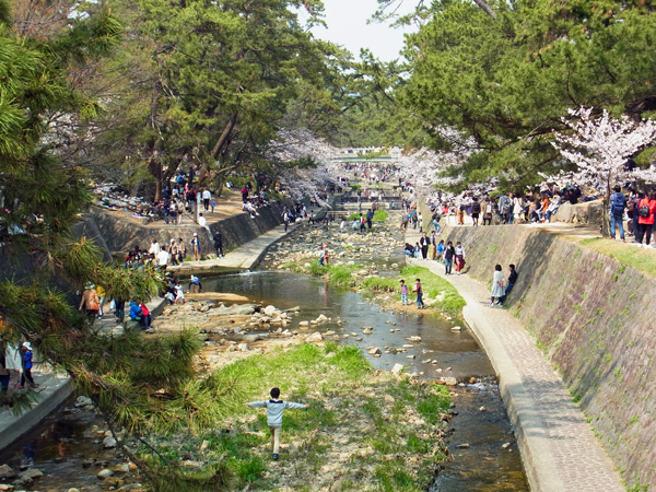 e0083517_02243374.jpg