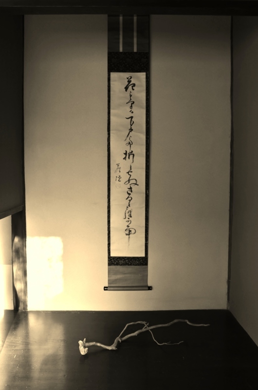 よい景色に・・・_b0220318_11434279.jpg
