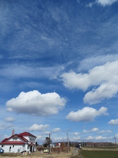 天気のよい一日_b0405523_10200807.jpg