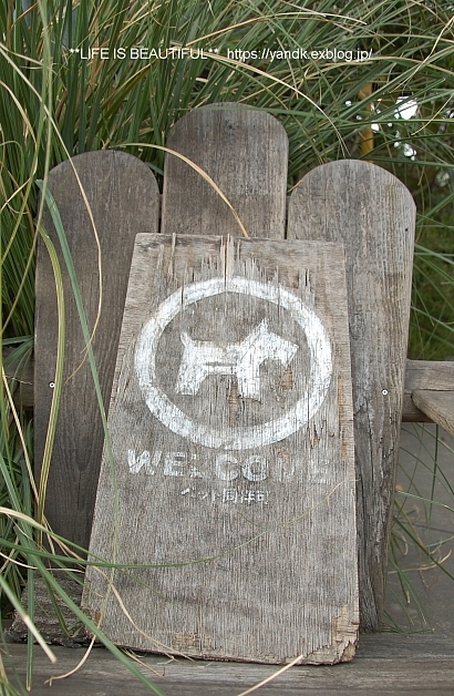 さくら*2019_d0083623_20171621.jpg