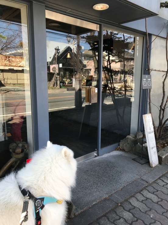 f0234023_20561834.jpeg
